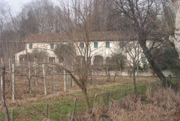 Mogliano Veneto | Treviso