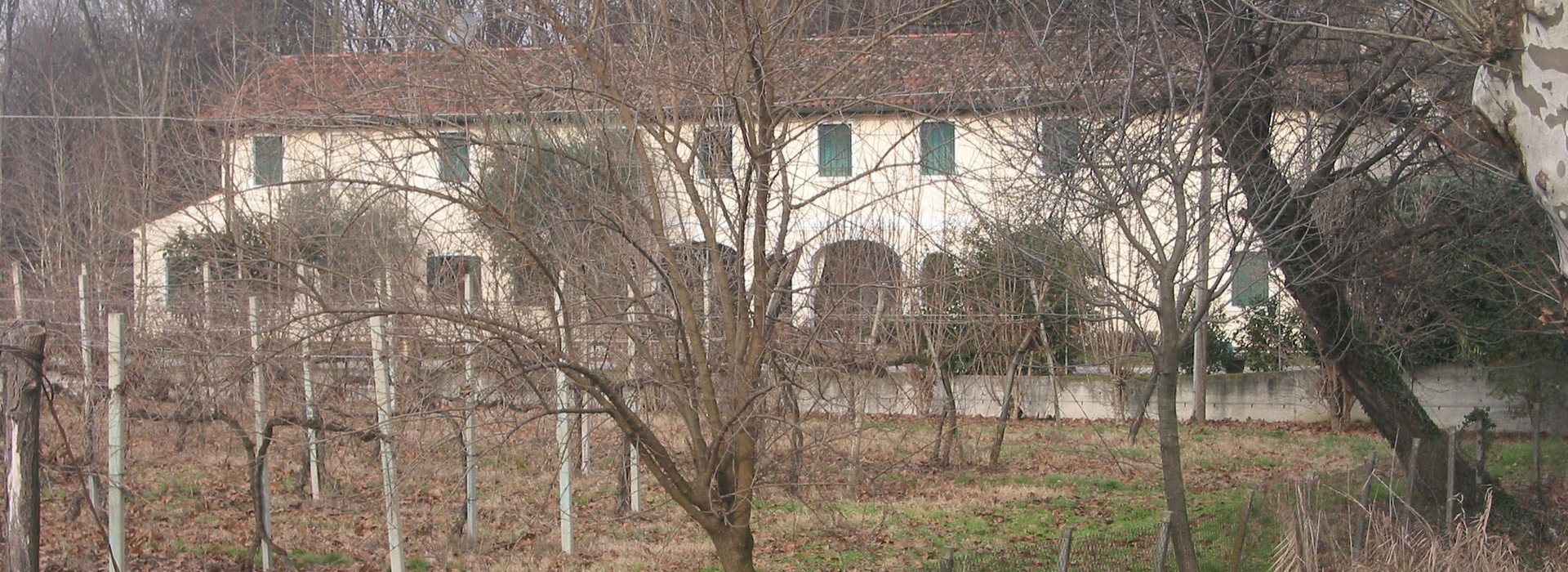 Mogliano Veneto | Treviso