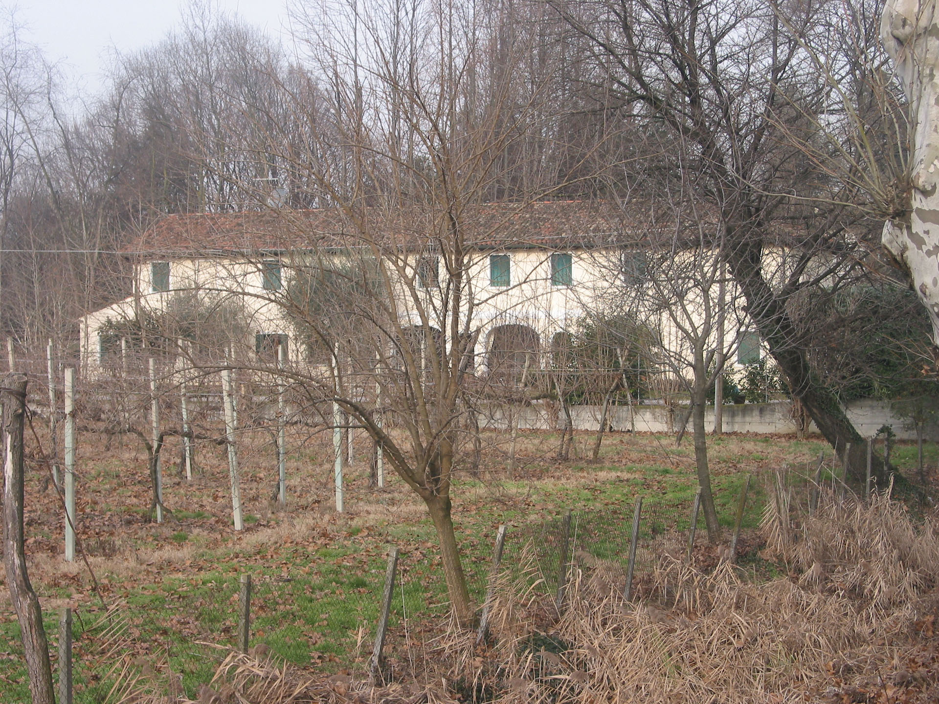 Mogliano Veneto | Treviso